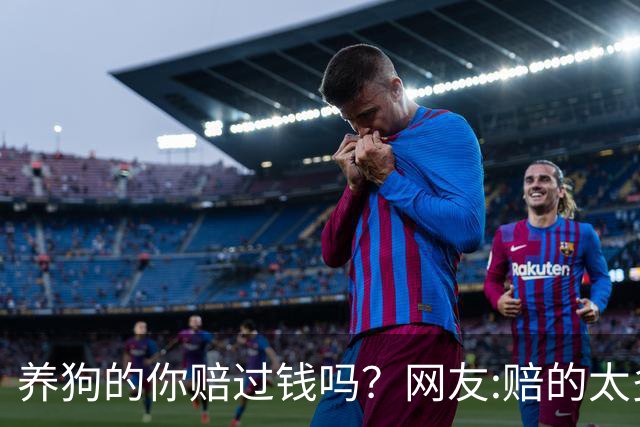 养狗的你赔过钱吗？网友:赔的太多了，它的身价蹭蹭往上涨