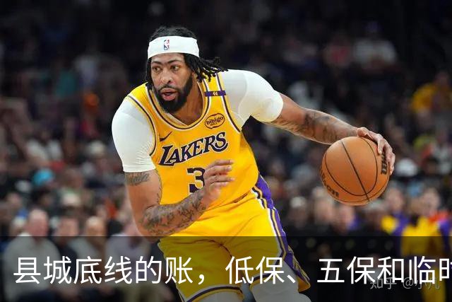 县城底线的账，低保、五保和临时救助是怎么来的？
