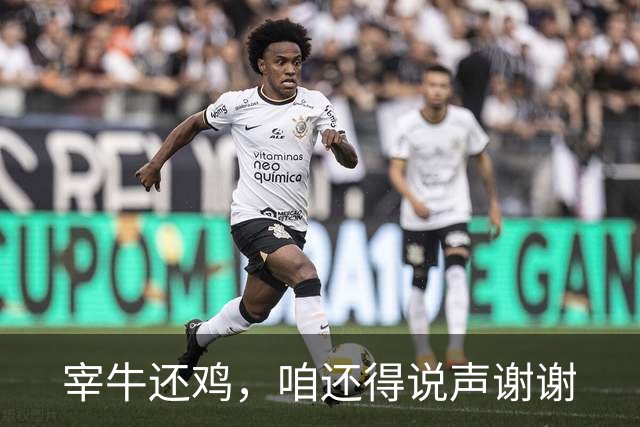 宰牛还鸡，咱还得说声谢谢