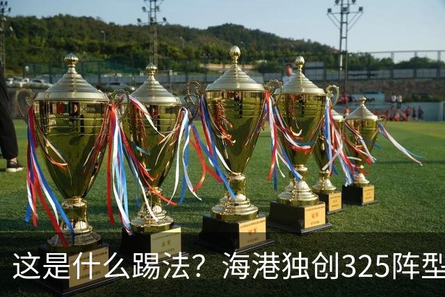 这是什么踢法？海港独创325阵型：拉爆蓉城体能，英博渔翁得利