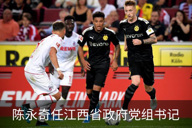 陈永奇任江西省政府党组书记