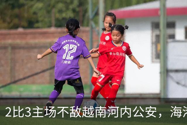 2比3主场不敌越南河内公安，海港再次诠释亚冠外战外行