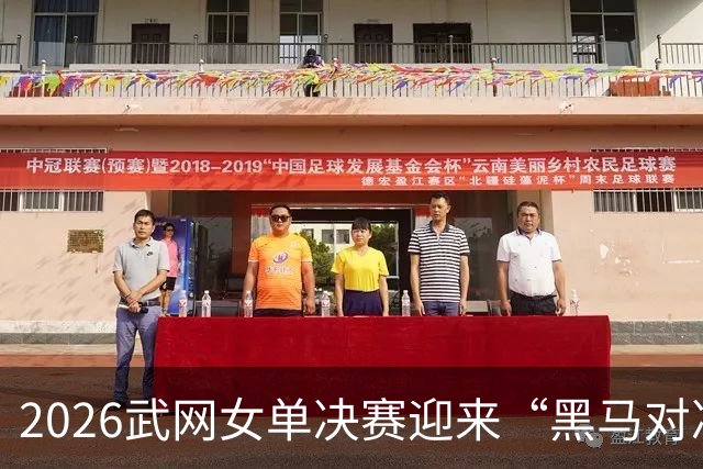 2026武网女单决赛迎来“黑马对决”，斯瓦泰克波兰德比落败，赫瓦林斯卡将与卡塔尔争冠